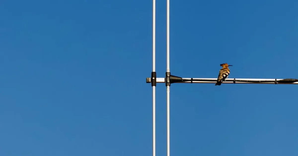 Antenna Configuration and Range